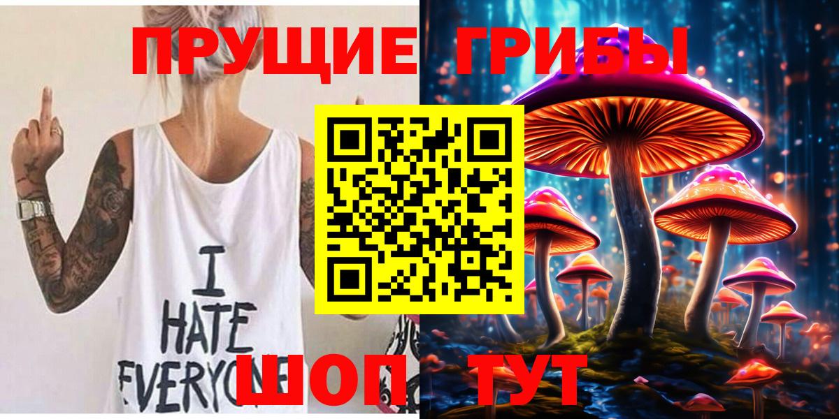 Псилоцибиновые грибы Psilocybe Красный Сулин
