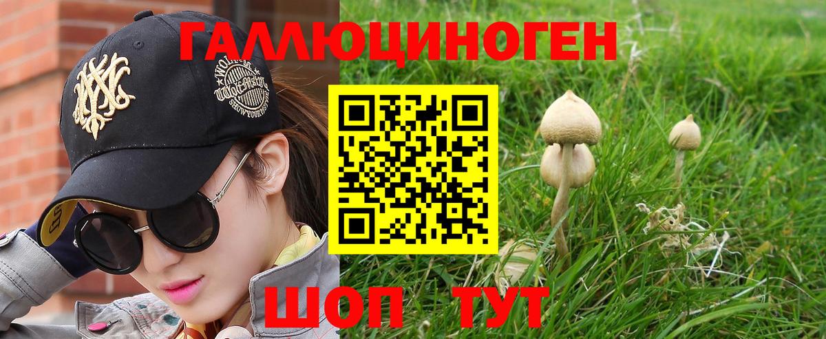 Галлюциногенные грибы Красный Сулин